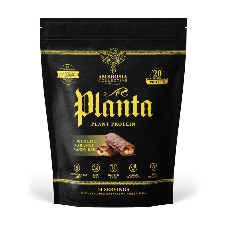 [Australia] - Ambrosia Planta - Premium Organic Plant-Based Protein | Vegan & Keto Friendly | Gourmet Flavors with No Bloating or Stomach Upset | Gluten & Soy Free | No Added Sugar | 14 Servings | (Candy Bar) Candy Bar 