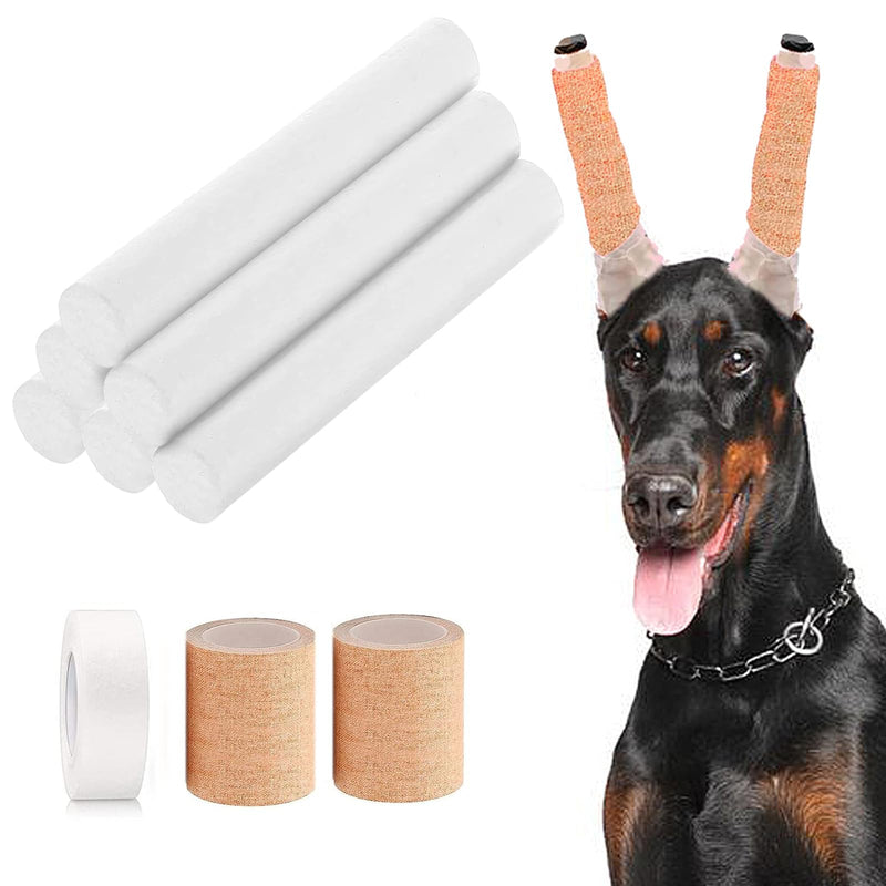 Pacify Doberman Dog Ear Posting Kit, Dog Ear Stand Up Support Tool with Tape Doberman Pinscher Dogs - PawsPlanet Australia