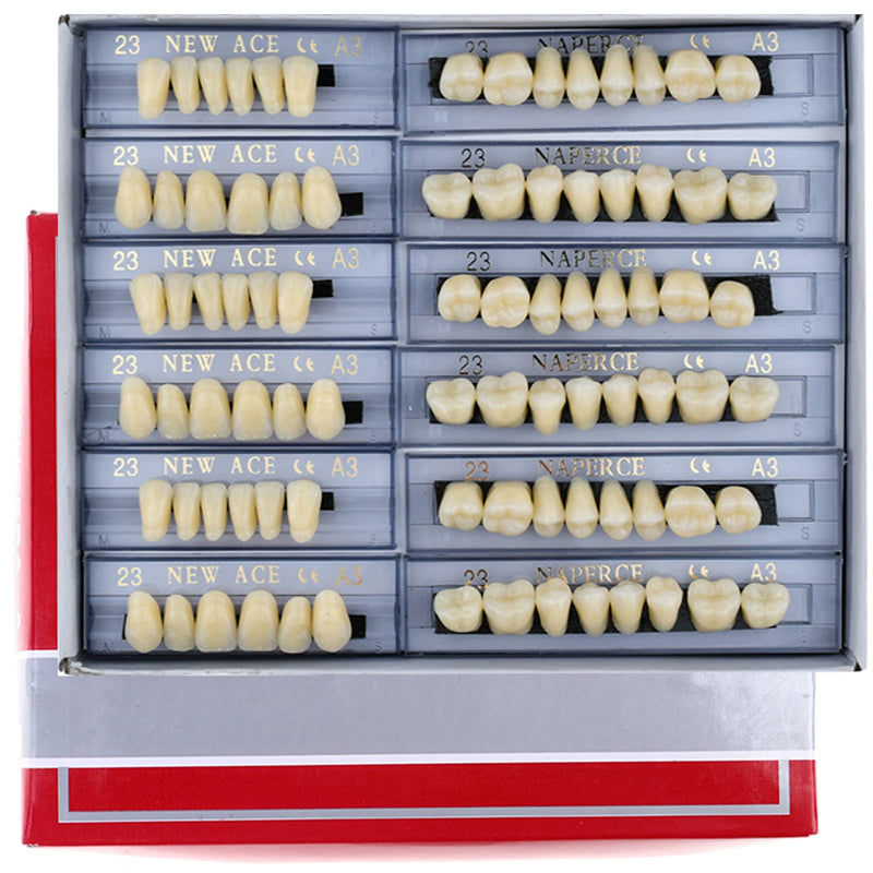 [Australia] - 168 Pieces False Teeth Dental Complete Acrylic Resin Denture Teeth, 6 Sets Whole Teeth Synthetic Polymer Denture Tooth, 23 Shade A3 Upper + Lower Dental Materials for Replacement, DIY, or Halloween 