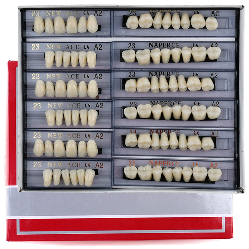[Australia] - 168 Pieces False Teeth Dental Complete Acrylic Resin Denture Teeth, 6 Sets Whole Teeth Synthetic Polymer Denture Tooth, 23 Shade A2 Upper + Lower Dental Materials for Replacement, DIY, or Halloween 