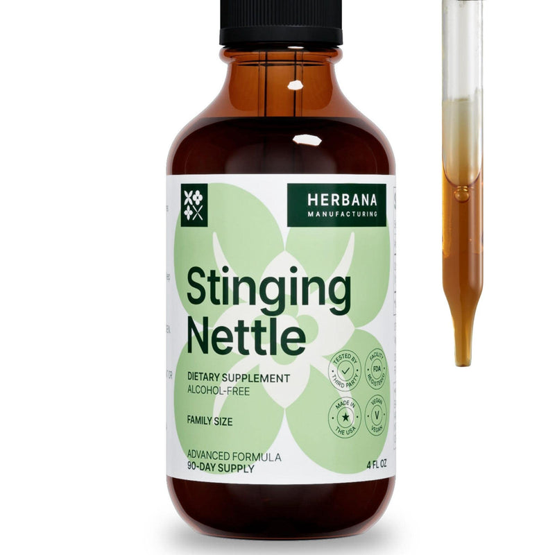 [Australia] - Stinging Nettle Leaf and Root 4 fl oz Liquid Extract - Natural Urinary & Kidney Support for Man and Woman - Organic Urtica Dioica - High Potency Herbal Supplement - 90-Day Supply 4 Fl Oz (Pack of 1) 