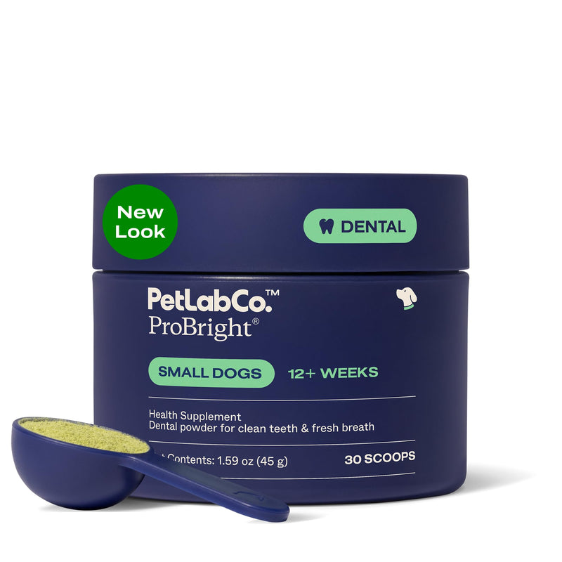 PetLab Co. ProBright Dental Powder for Small Dogs, 30 Scoops | Brown algae, green tea and probiotics in one easy daily scoop to support tartar and fresh breath