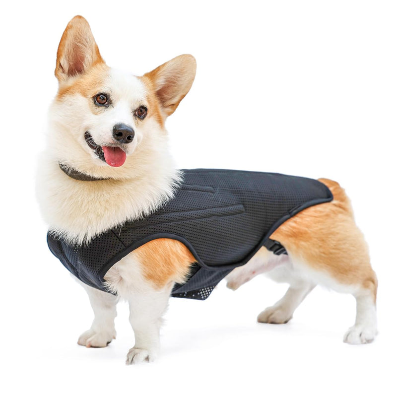 IVDD Back Brace for Dogs, Flexible Pet Dachshund Back Supporting Vest, Dog Back Bracer for Small Pet with Arthritis, Back Pain,Herniated Disc,Spinal Surgical Recovery (M) Medium - PawsPlanet Australia