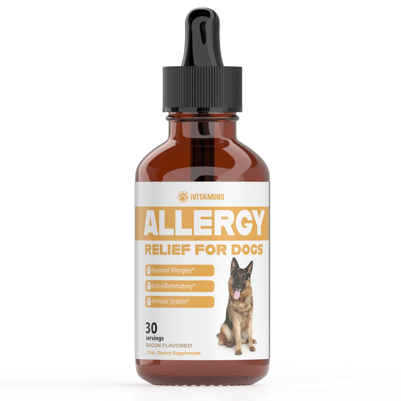 Natural Dog Allergy Relief - Helps to Naturally Support Allergy & Itch Relief for Dogs - Allergy Relief for Dogs Itching - Itch Relief for Dogs - Dog Itch Relief - Dog Allergy Support - 1 fl oz (Dogs) - PawsPlanet Australia