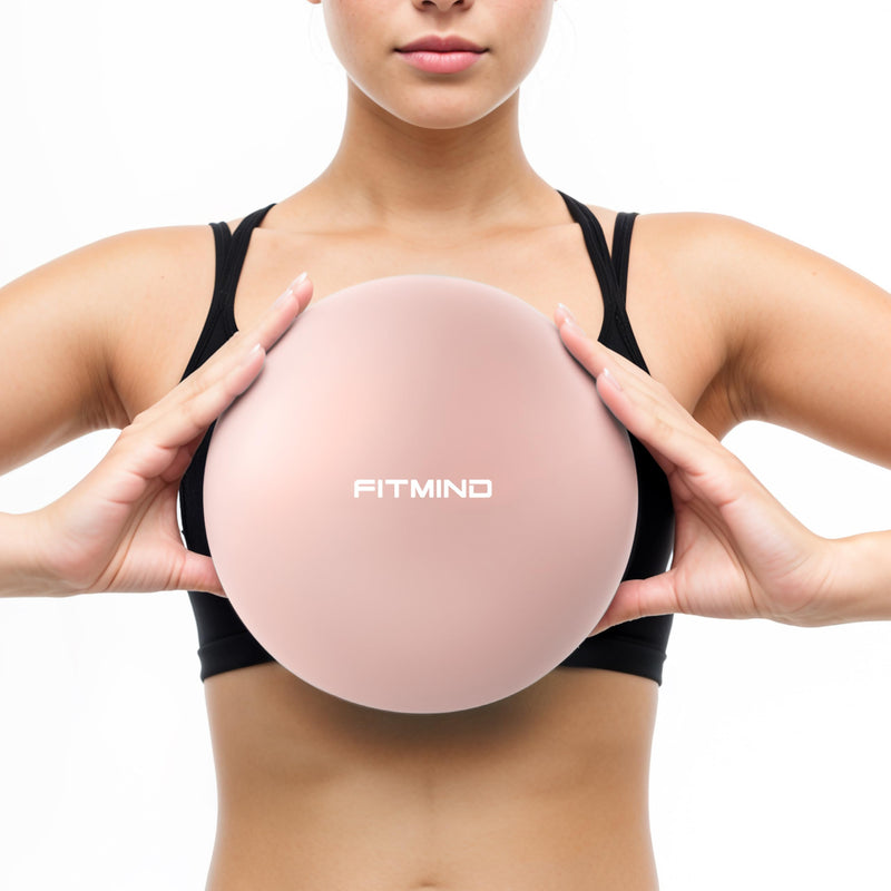 [Australia] - Pilates Ball 10 Inch Anti-Burst Slip Resistant Small Exercise Ball Mini Yoga Ball for Fitness, Core Training, Physical Therapy, Balance, Stability, Stretching 200kg 440lbs Capacity Pink 