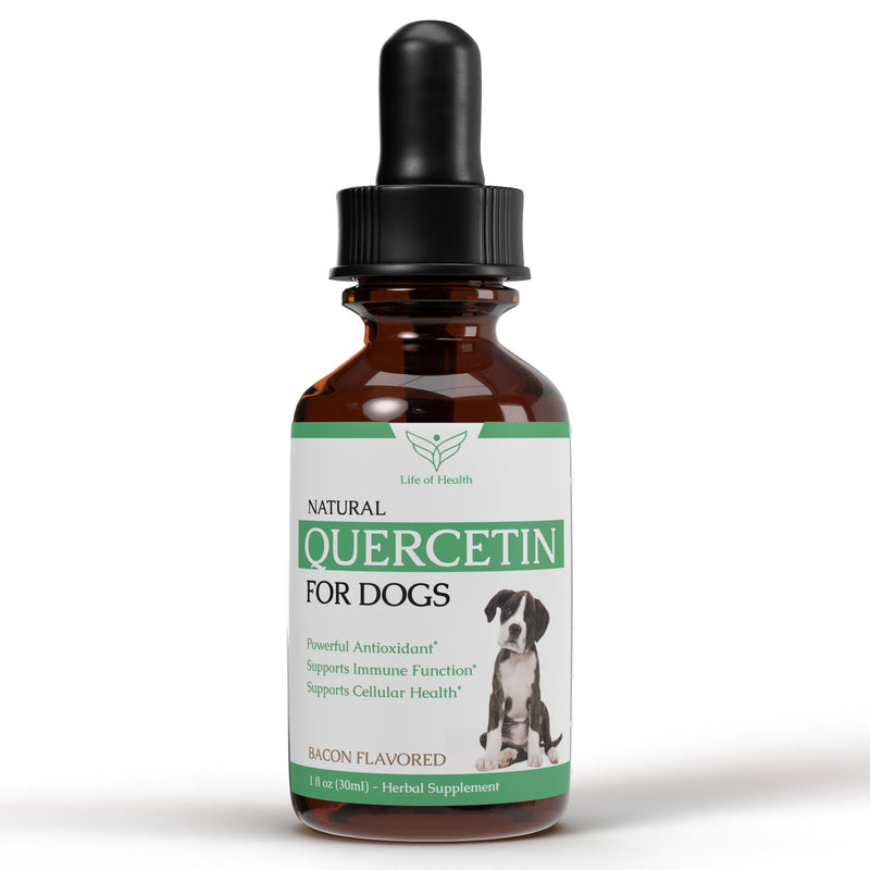 Quercetin for Dogs - Quercetin for Dogs Allergies - Dog Allergy Support - Dog Allergy - Quercetin - Quercetin Dog - Dog Allergies - Quercetin Supplements - Dog Allergy Relief - 1 fl oz - PawsPlanet Australia