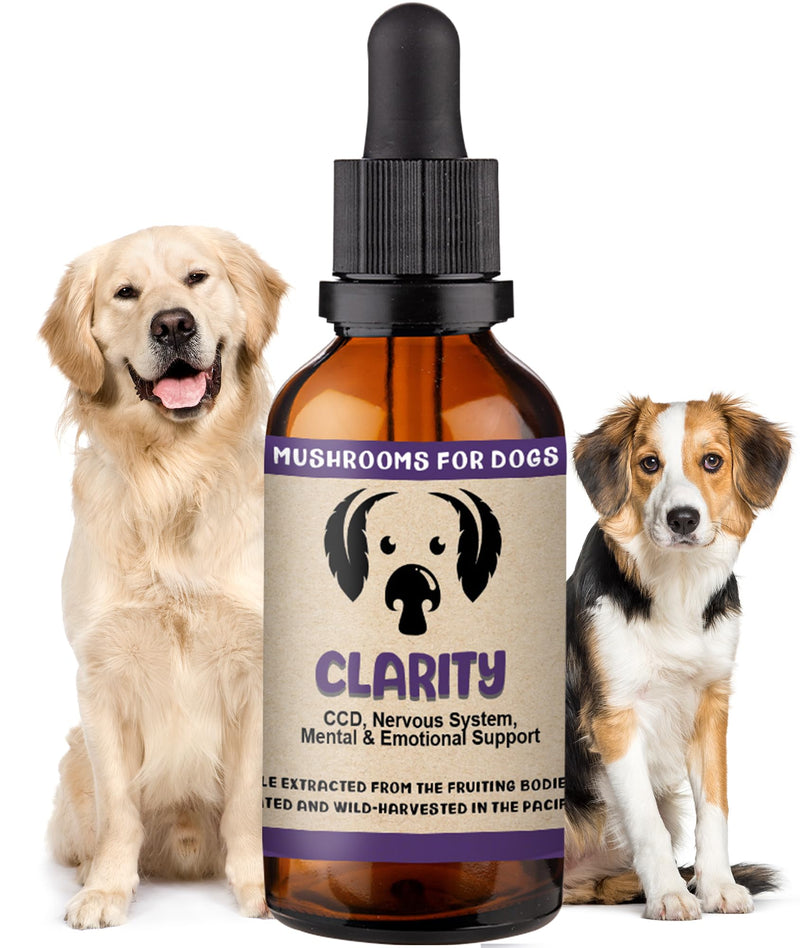 MycoDog Clarity Mushroom Extract & Adaptogen Tincture for Canines - Mushroom & Ashwagandha Supplements for Nervous, Mental, & Emotional Support - Reishi Mushroom, Cordyceps, & Lions Mane Supplement - PawsPlanet Australia