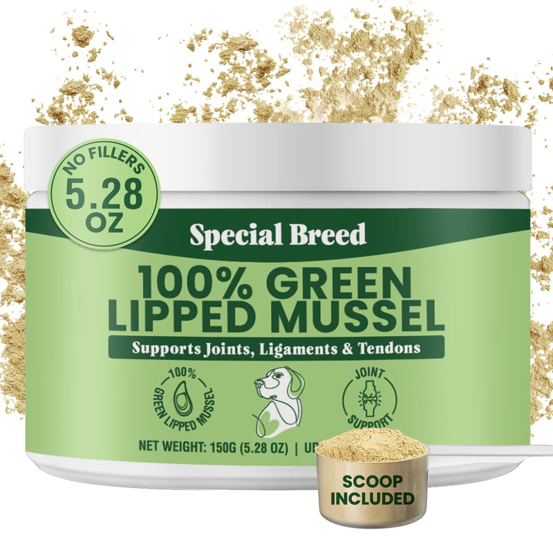 Green Lipped Mussels for Dogs & Cats - Premium Joint Supplement Powder for HIPS, Joints, and Muscles (150 Grams, Up to 500 Servings) 150 Grams - PawsPlanet Australia