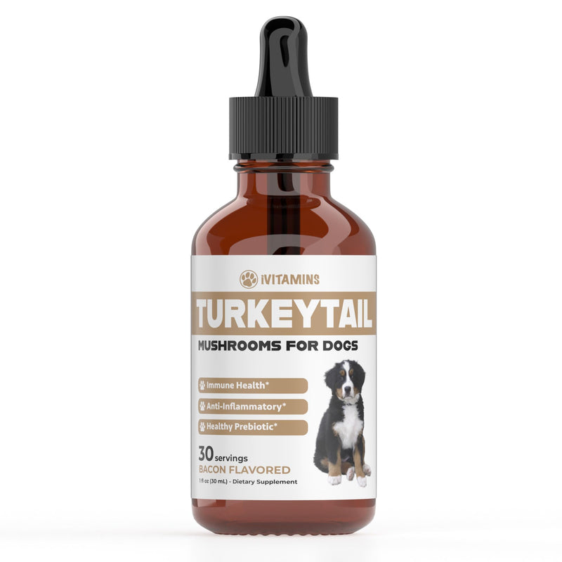 Turkey Tail Mushroom for Dogs | Helps to Boost The Immune System, is a Healthy Prebiotic, & Much More | Turkey Tail for Dogs | Mushrooms for Dogs | Dog Mushroom Supplements | 1 fl oz - PawsPlanet Australia