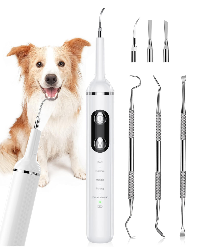 [Australia] - Plaque Remover for Teeth, Pet Tooth Brushing Kit, Dental Tools to Remove Plaque and Tartar, Safe for Dog and Cat, with LED Light, White 