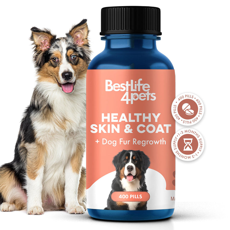 Natural Skin & Coat Supplement for Dogs, Large and Small, Dog Anti Itch Relief for Dry Skin, Rash, Allergy or Irritation, Reduces Shedding, Dandruff and Supports Dog Hair Growth, 400 Small Pills - PawsPlanet Australia