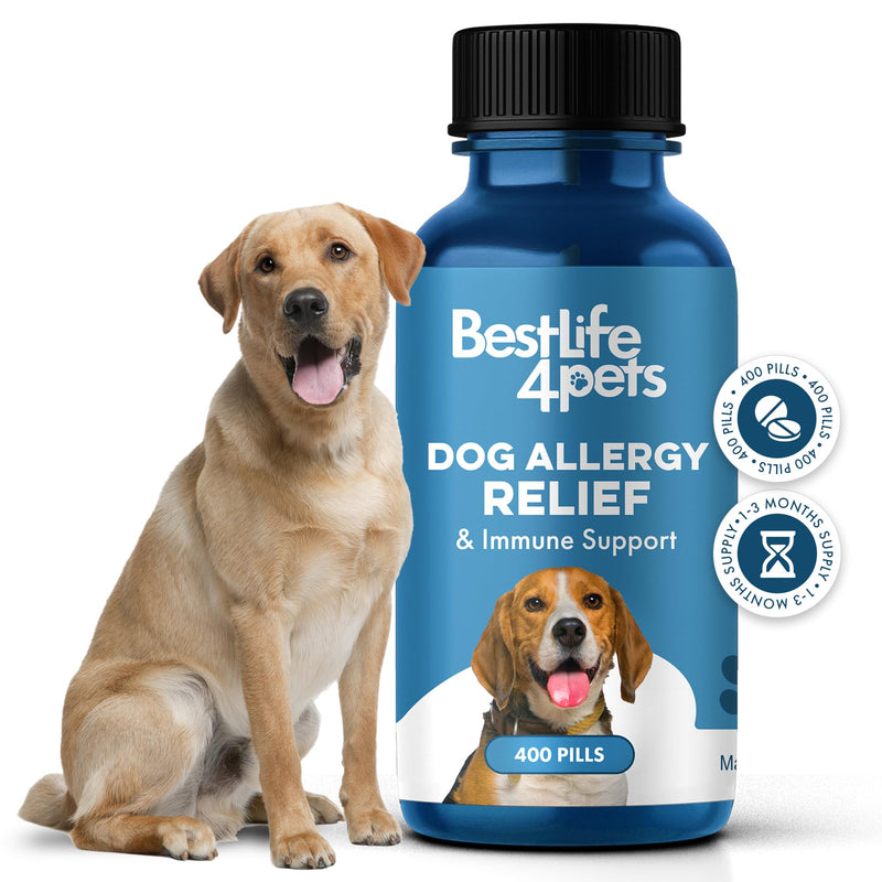 Dog Allergy Relief & Immune Support, Natural Holistic Itch Relief for Dogs, Immune System Guard and Allergy Support, Including Seasonal Allergies, Sneezing, Runny Nose and Itching, 400 Small Pills - PawsPlanet Australia