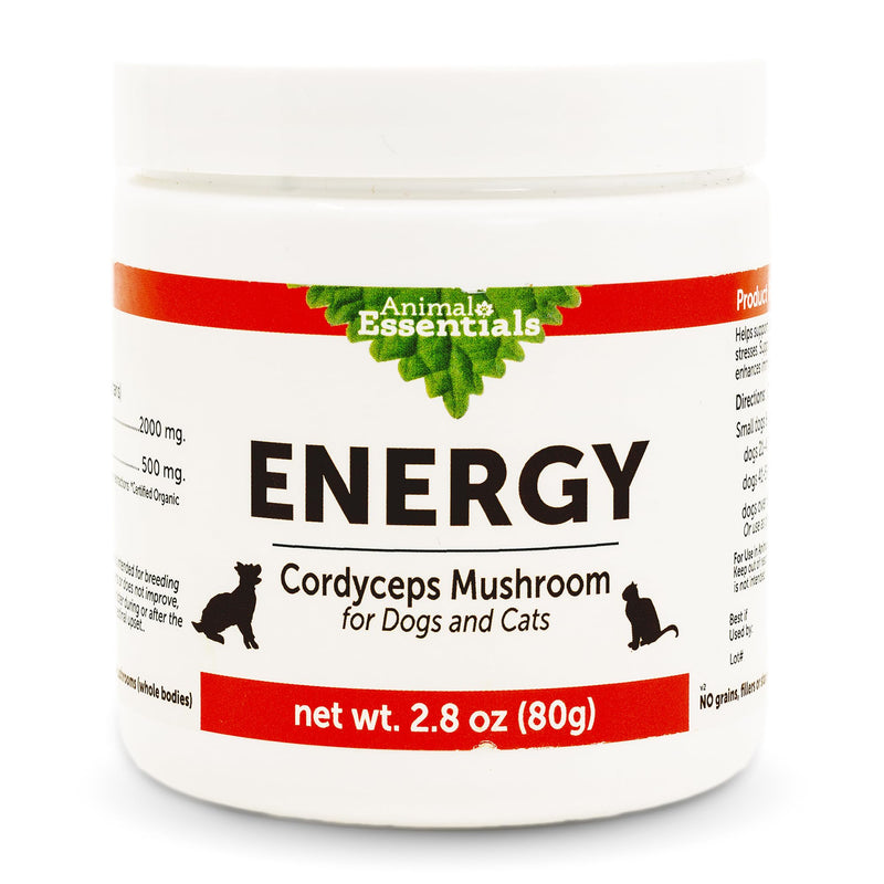 Animal Essentials Energy Cordyceps Mushroom Supplement for Dogs & Cats - Support Stamina & Endurance, Healthy Respiratory & Kidney Functions, Antioxidant, Mushroom Powder Extract - 2.8 Oz (Pack of 1) - PawsPlanet Australia