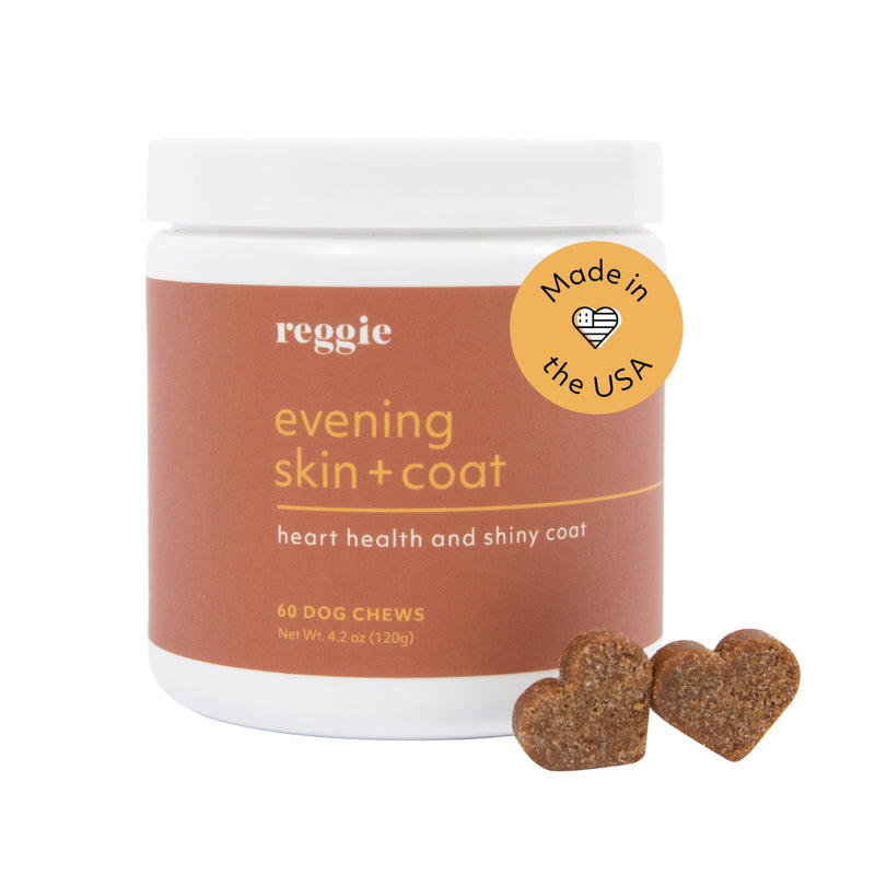 Reggie Evening Skin + Coat Supplements for Dogs | Relieves Itchy/Dry/Flaky Skin & Shedding | Made in The USA, Vet-Approved & Ideal for All Ages, Breeds, and Sizes - 60 Soft Chews - PawsPlanet Australia