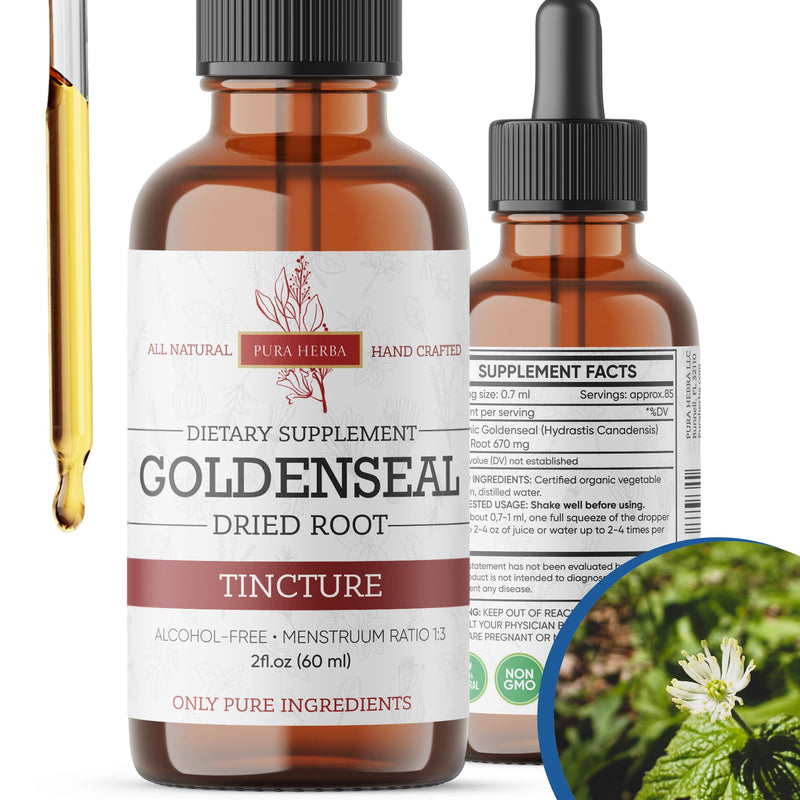 [Australia] - Goldenseal Root Liquid Extract - 2 Fl Oz - Goldenseal Tincture, Alcohol Free, Vegan - 2 Fl Oz 