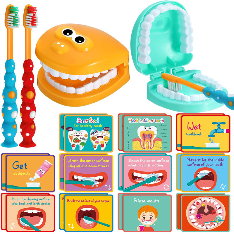 Skylety 2 Set Dentist Kit for Kids Dentist Play Set Dental Teeth Model with Toothbrush Child Dental Educational Card Standard Size Fake Brace Demonstration Teaching for Children Student (Cute Style) Cute Style