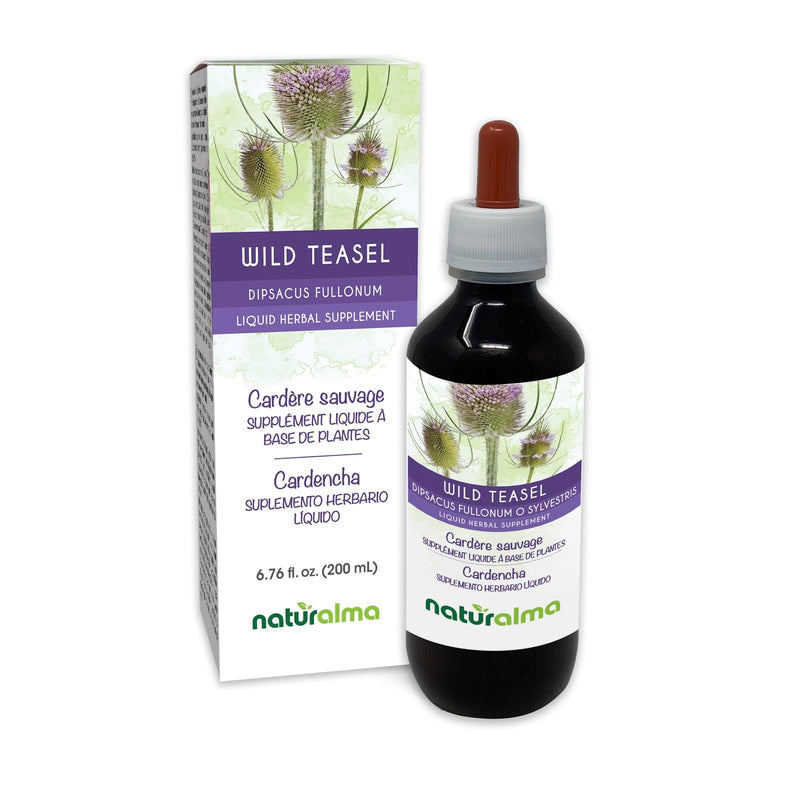 Naturalma Wild Teasel or Fuller's Teasel (Dipsacus fullonum or D. sylvestris) Root Alcohol-Free Tincture - 6.76 fl oz Liquid Extract in Drops - Herbal Supplement - Vegan 6.76 Fl Oz (Pack of 1)