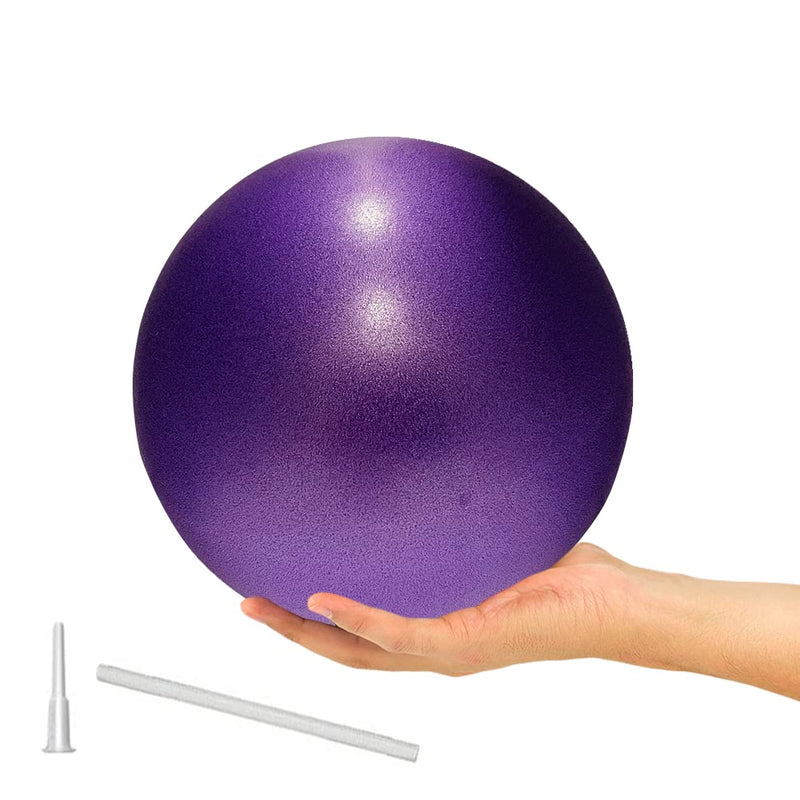 [Australia] - 9 Inch Exercise Pilates Ball Mini Exercise Barre Ball for Yoga,Stability Exercise Training Gym Anti Burst and Slip Resistant Balls Physical Therapy Improves Balance, Core Strength 1Purple 