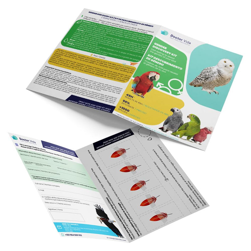 Bird Sexing DNA. Gender Reveal Test for Parrots, Lovebirds, Cockatoos, African Grey,Macaw, Cockatiels, Parakeets, Eagles, Owls + 1000 Species. Avian Sexing DNA Testing. Sample Collection Kit included - PawsPlanet Australia