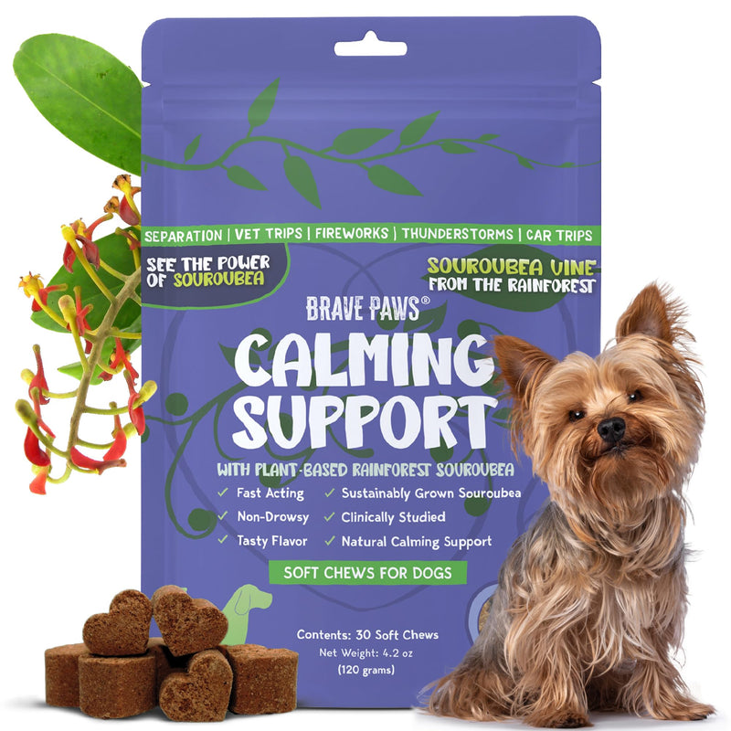 Dog Calming Chews - Anxiety Relief Treats - Calming Chews for Dogs with Natural Souroubea - Calming Treats for Dogs Help Manage Stress and Promote Relaxation, Anxiety Relief for Dogs, Made in the USA - PawsPlanet Australia