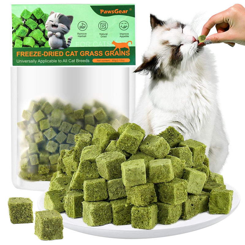 60g/2.12oz Cat Grass Teething Toy Hairballs,Chew Treats for Cats,Edible Cat Chew Toys,Natural for Cats,Teeth Cleaning and Hairball Removal - PawsPlanet Australia