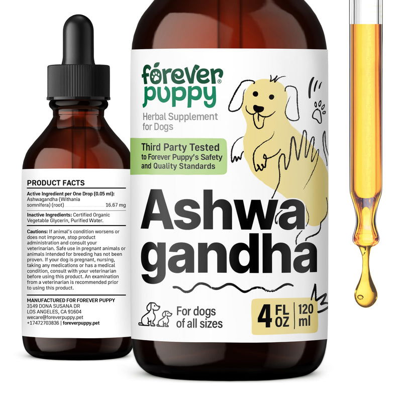 Ashwagandha Drops for Dogs - Calming Care with Ashwagandha Root Tincture - Liquid Alternative to Calming Chews for Dogs' Composure & Relaxation - Canine Vitamins and Supplements - 4 oz 4 fl oz - PawsPlanet Australia
