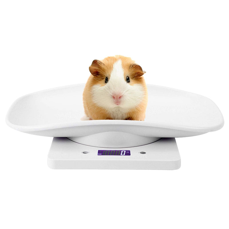 Digital Pet Scale, Small Animal Weight Scale Portable Electronic LED Kitchen Scale High for Weighing Small Dog Cat Kitten Rabbit Puppy Hamster Hedgehog - PawsPlanet Australia