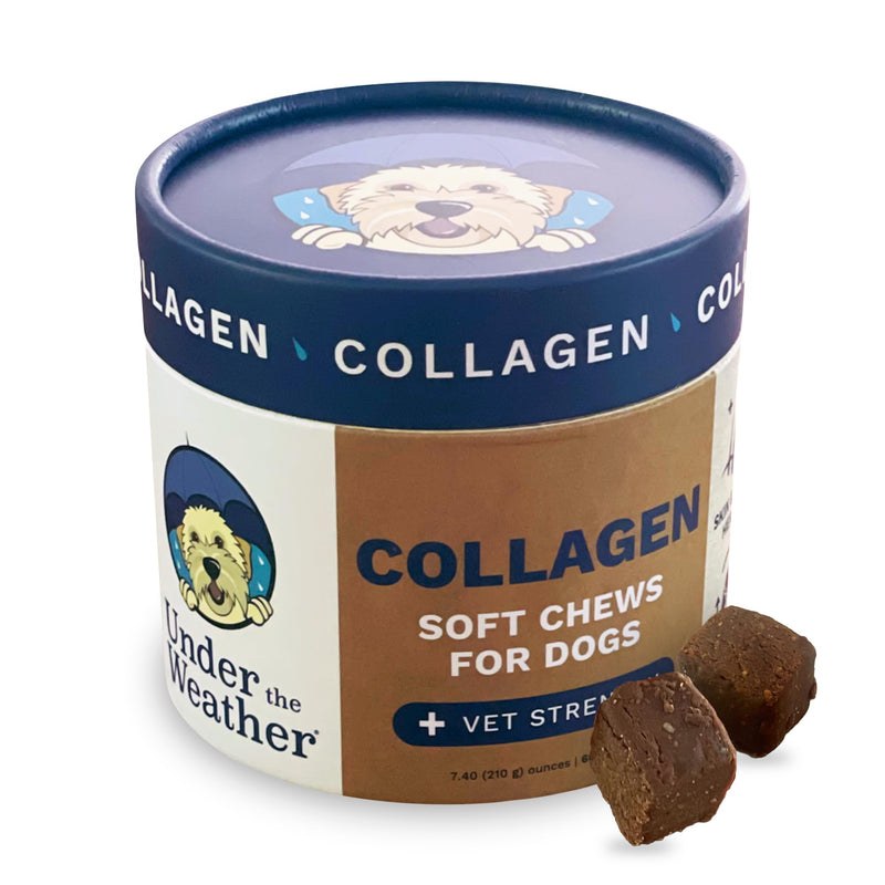 Under the Weather Collagen Chews for Dogs | Promotes Healthy Skin Coat and Stronger Hip & Joint | Improves Overall Mobility | Immunity and Anti-inflammatory Collagen for Dog Supplement | 60 Count - PawsPlanet Australia