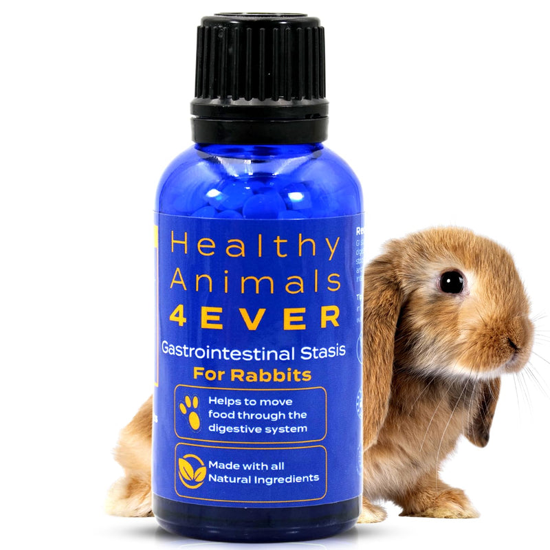 Healthy Animals 4Ever All-Natural Rabbit Gastrointestinal Stasis Treatment | Effective Homeopathic Support for GI Stasis - Promotes Healthy Digestion Rabbit Digestive Health Tablets | 300 Count - PawsPlanet Australia