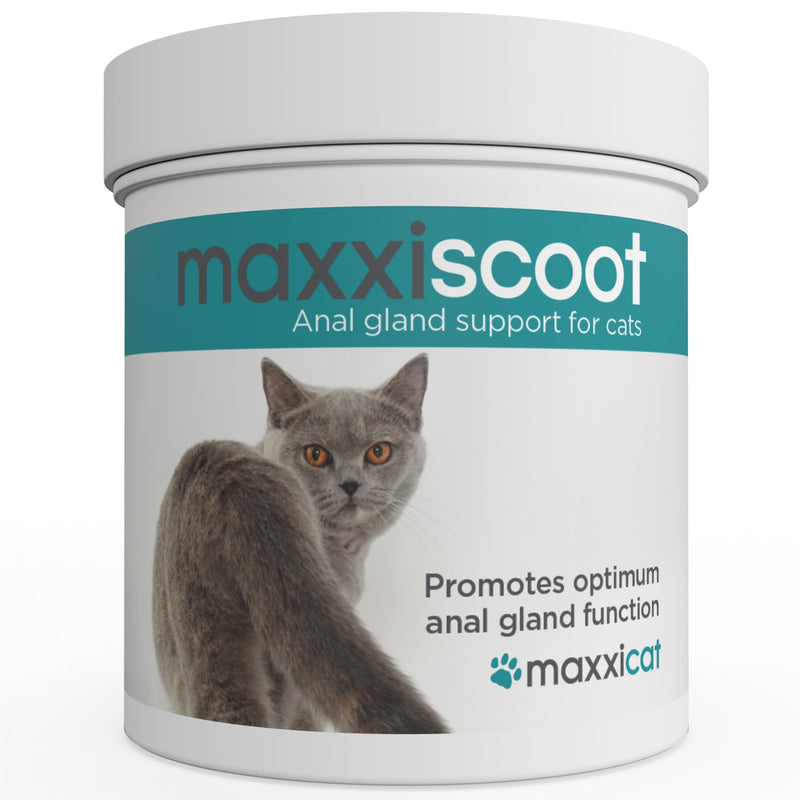 maxxiscoot Anal Gland & Digestive Health Support for Cats - Powder Supplement, 3.2oz - PawsPlanet Australia