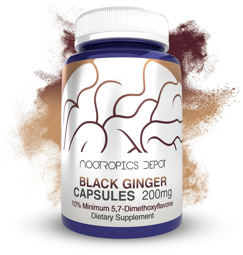 [Australia] - Nootropics Depot Black Ginger Extract Capsules | 10% 5,7-dimethoxyflavone | 60 Count 60 Count (Pack of 1) 