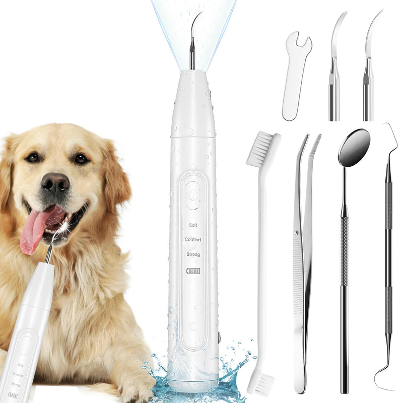 [Australia] - Dog Plaque Remover - Pet Sonic Teeth Cleaner with LED Light -Teeth Cleaning Kit for Tartar and Stains -Suitable for Dogs（White） White 