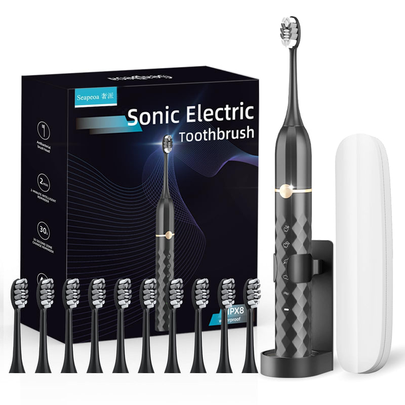 [Australia] - Electric Toothbrush Set, Equipped with 10 Brush Heads and Travel case, IPX8 Waterproof, 2-Minute Timer, 42000 high-Frequency Vibrations, 5 Modes, The First Choice for Gift Giving Black 