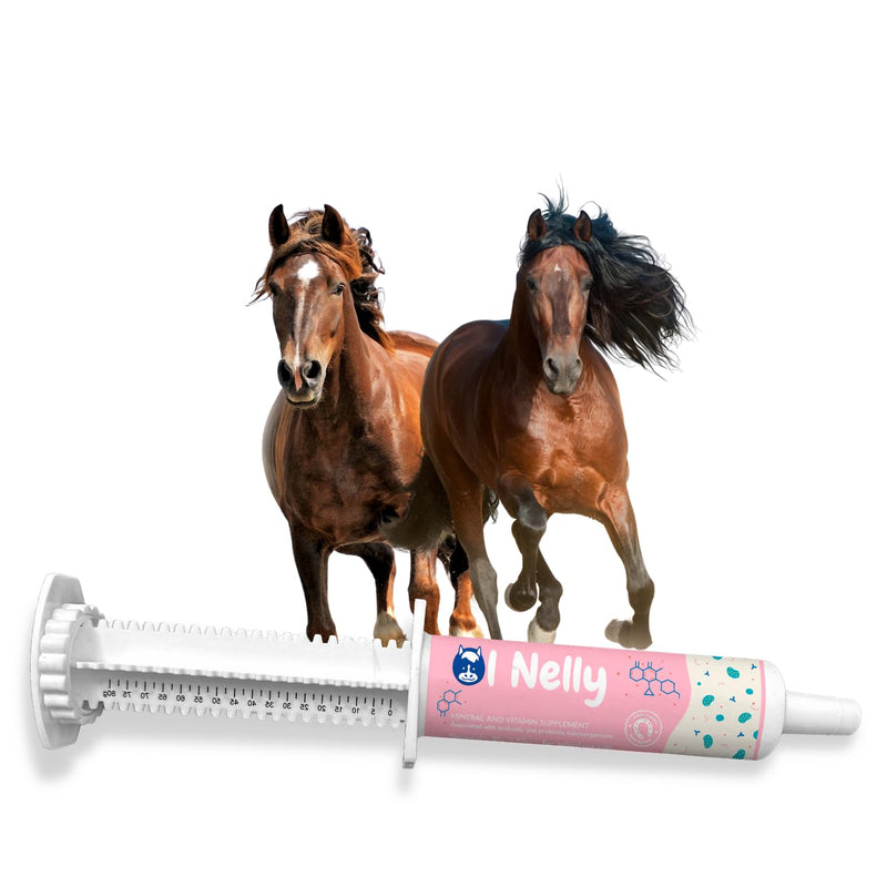 Horse Probiotics, Horse Paste Pre and Probiotics- Pre and Probiotics for Horses +Vitamins &Minerals- 4 Strains and 8 Billion CFU Serving- Immune and Gastro Health Support for Equines (80cc) Horse Probiotic Pack of 1 - PawsPlanet Australia