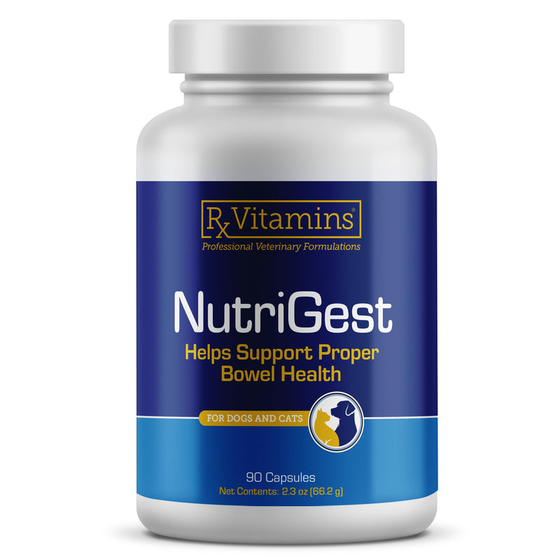 Rx Vitamins NutriGest Capsules for Cats & Dogs - 90ct | Probiotics and Prebiotics for Digestive Health - Supports Gut Flora - Helps with Constipation Relief and Bowel Function New Label