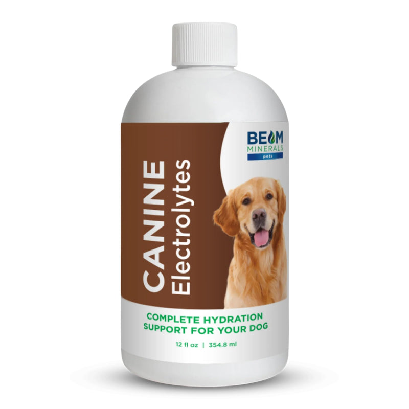 Beam Minerals Complete Canine Electrolytes | Full-Spectrum Electrolytes for Dogs | 12 Fl Oz - PawsPlanet Australia