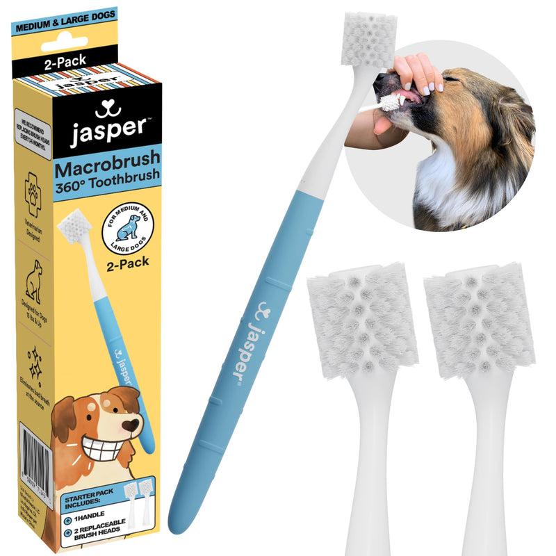 [Australia] - Jasper Macrobrush 360º, Dog Toothbrush for Medium to Large Dogs, Soft-Bristled Dog Tooth Brushing Kit - Premium Non-Slip Handle with 2 Replaceable Tooth Brush Heads, Use with Pet Toothpaste Macrobrush Kit 2 Count (Pack of 1) 