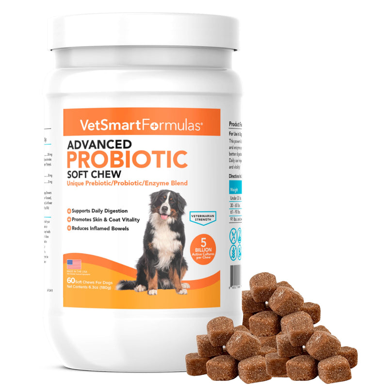 Advanced Probiotic Soft Chews for Dogs - Veterinarian-Strength Probiotic Support for Optimal Health – with 10 Billion CFUs Per Dose - PawsPlanet Australia