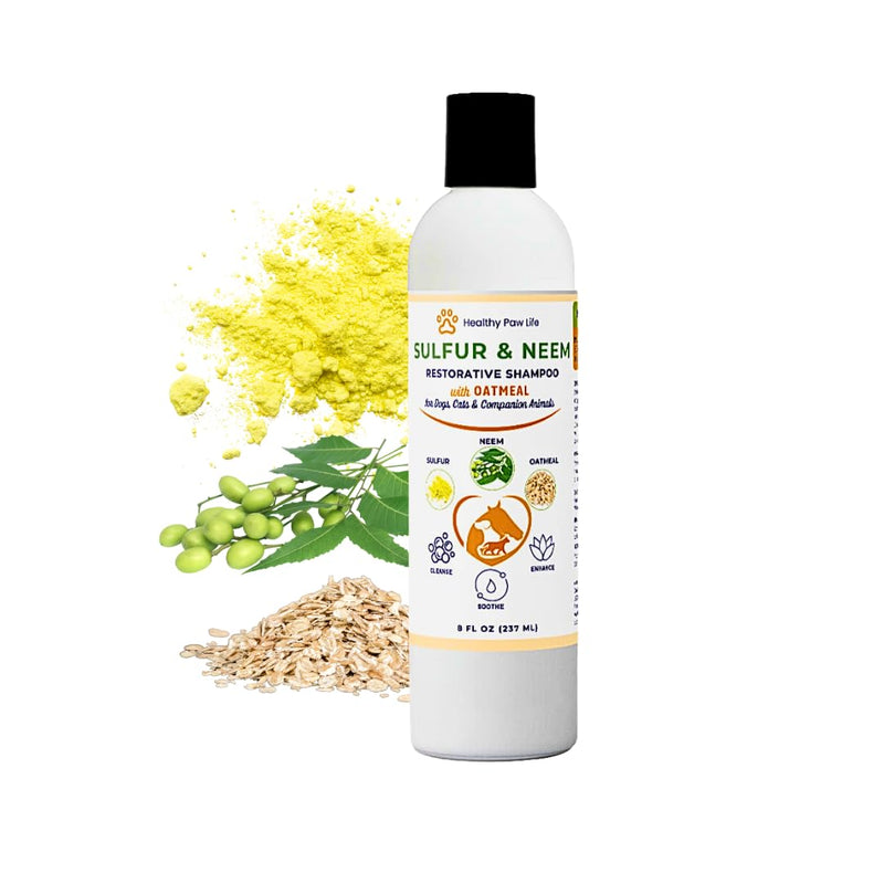 Healthy Paw Life's Sulfur & Neem Restorative Shampoo with Oatmeal - PawsPlanet Australia