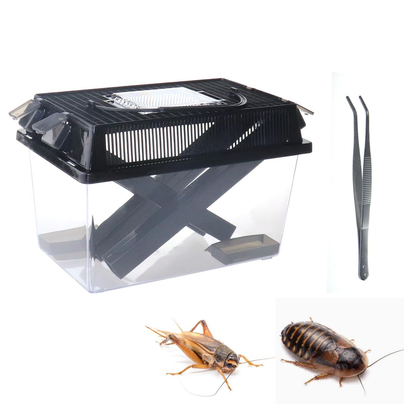 NANEEZOO Cricket Keeper, Equipped with Water & Food Feeding Dish, High Transparency Cricket Pen with Dispenser Tubes, Insect Keeper for Gecko Snake Lizards Reptiles (Large) Large - PawsPlanet Australia