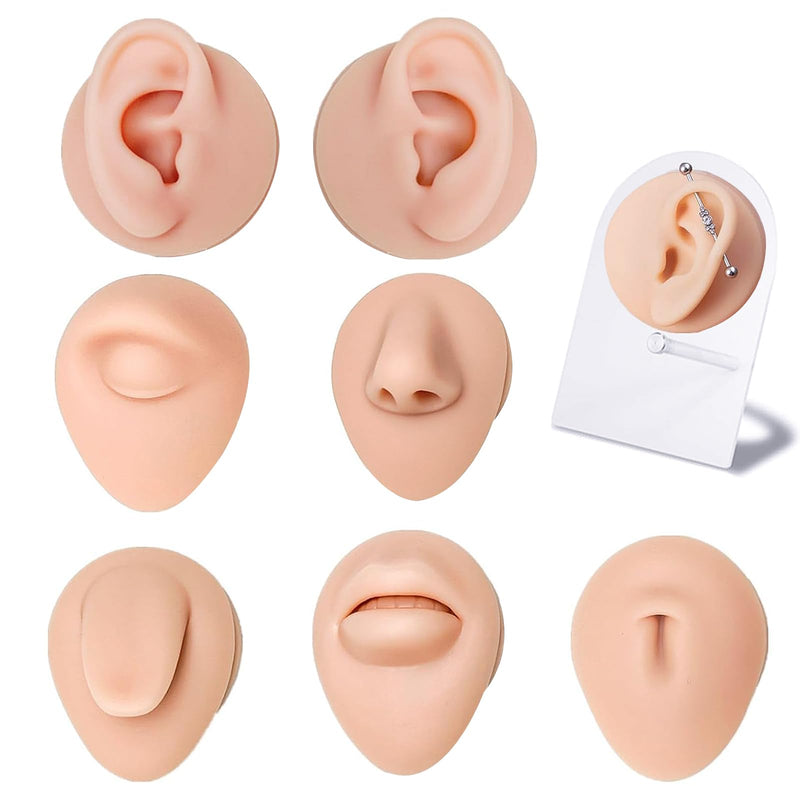 [Australia] - Piercing Kit Silicone Model Body Part Displays Set, 8pcs Soft Body Piercing Practice Model Kit with Display Holder,Soft Fake Tongue Mouth Nose Eye Navel Ear 5D Model Training Tool Kit for Piericng 