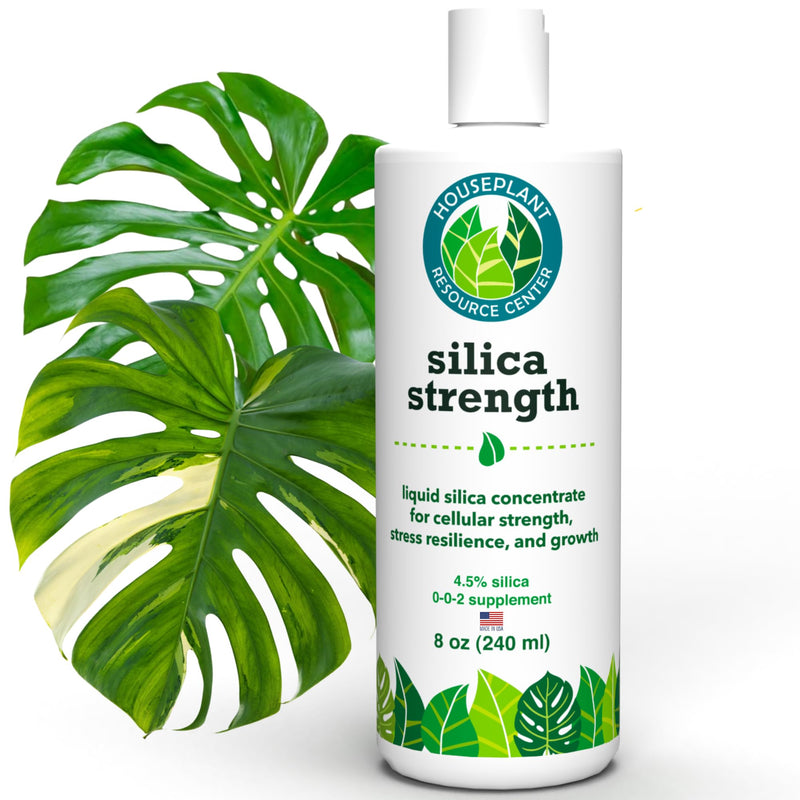 [Australia] - Silica Strength Plant Supplement ‚Äì Strengthens Stems, Supports Upright Leaves & Improves Stress Resilience | Ready-to-Use 4.5% Liquid Concentrate for Houseplants | 8 oz | Makes 96 Gallons 