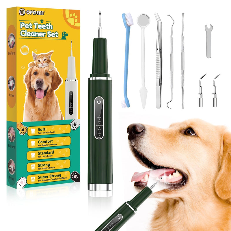 [Australia] - Plaque Remover for Teeth - Electric Toothbrush for Dogs Pet Brush Set,Electric Five Modes + 3 Cleaning Head, Plaque Remover for Teeth Stains for Dogs and Cats (Dark Green, Large) 