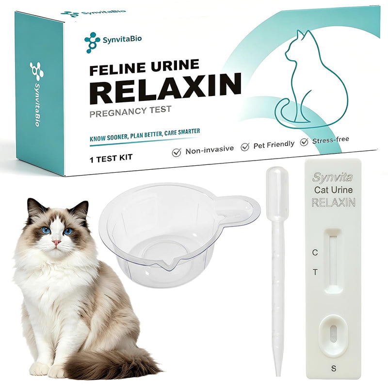 Cat Pregnancy Test Kit at Home, Urine-Based Feline Pregnancy Test, 98.8% Accurate, 10-Minute Results, Painless & Easy to Use (1 PCS)