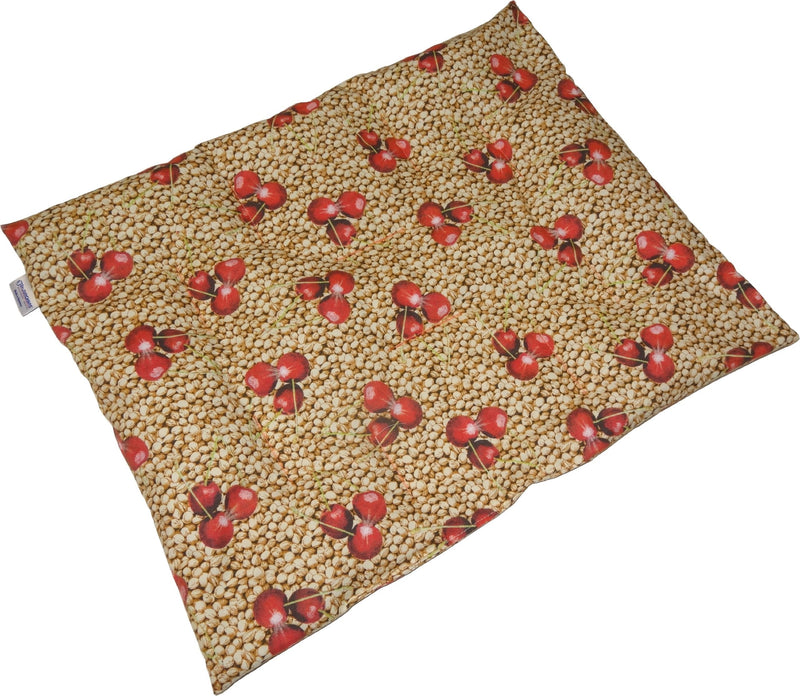 [Australia] - Dr. Junghans Medical 40063 cherry stone pillow, 40 x 50 cm, 1440600 