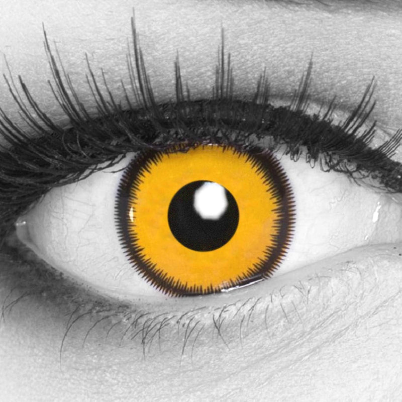 [Australia] - Colored yellow 'Lunatic Sun' contact lenses from 'Evil Lens' for Carnival Halloween 1 pair of yellow Crazy Fun contact lenses with case without strength 
