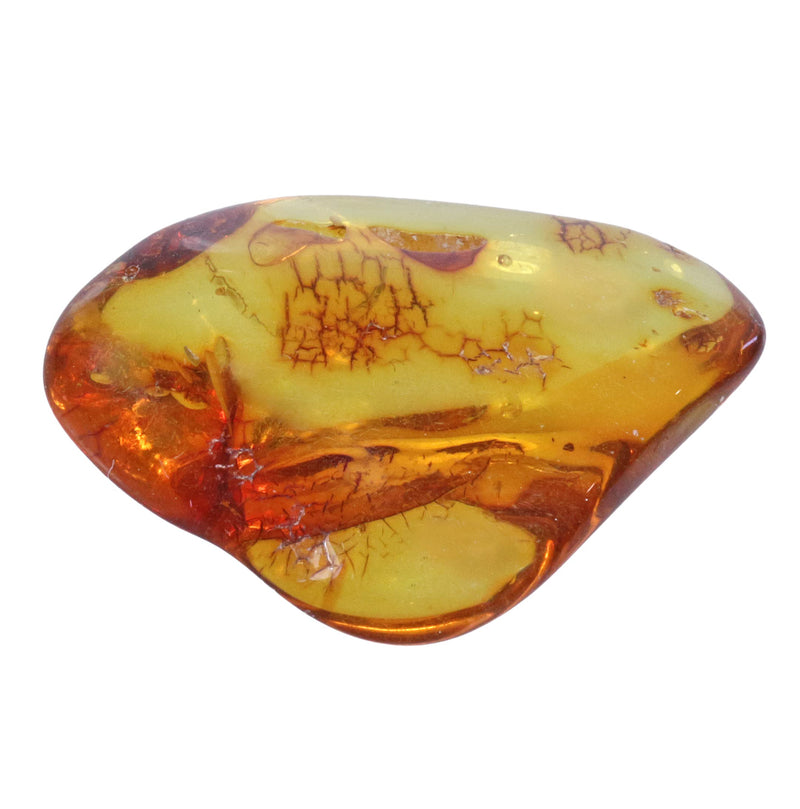 [Australia] - Source of Life Plus Popular Tumbled Stone | Tumbled stones polished | Gemstone Hand Flatterer Pocket Stone (Amber, M) Amber 