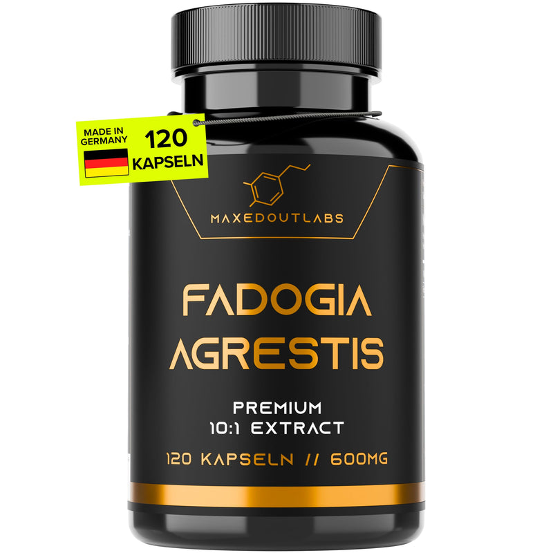 [Australia] - Maxedoutlabs - Fadogia Agrestis - (6000mg Fadogia - 10:1 formula) - 3 month supply - 600mg per capsule - One capsule per day - High dosage - Vegan | Alternative to Tongkat Ali capsules or Turkesterone 