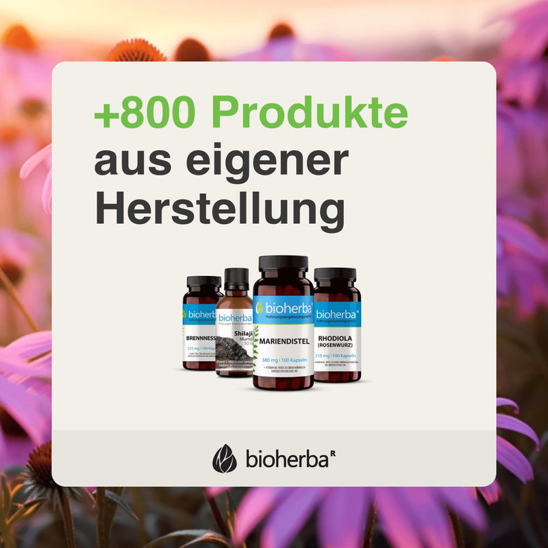 [Australia] - BIOHERBA throat spray broncho with propolis extract 50 ml - natural throat spray - cough suppressant with ginger + vitamin C and plant extracts, supports immune system, PZN: 17188640 1 piece 