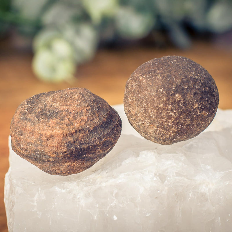 [Australia] - Lebensquelle Plus Moqui Marbles from the USA | Original Moqui Marbles with certificate of authenticity | Premium quality (S (1.5-2.5 cm)) S (1.5-2.5 cm) 